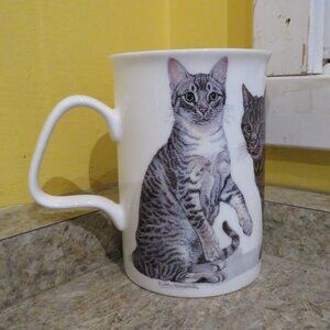 Roy Kirkham Cats Galore Bone China Mug Vintage (F100)